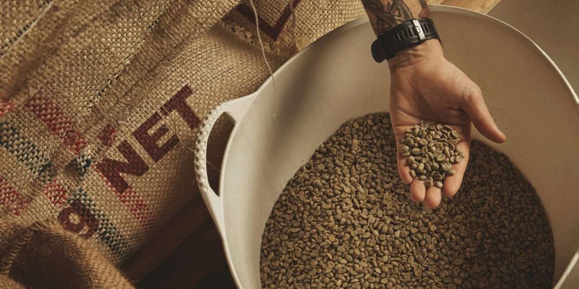 Muito além da cerveja: descubra o poder medicinal do lúpulo