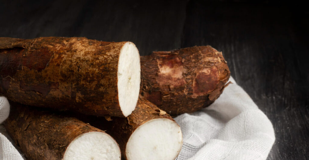 Mandioca em foco: preço da raiz dispara e alcança maior valorização semanal em 11 meses