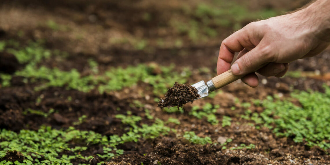 Manejo sustentável do solo: práticas modernas que melhoram a produtividade