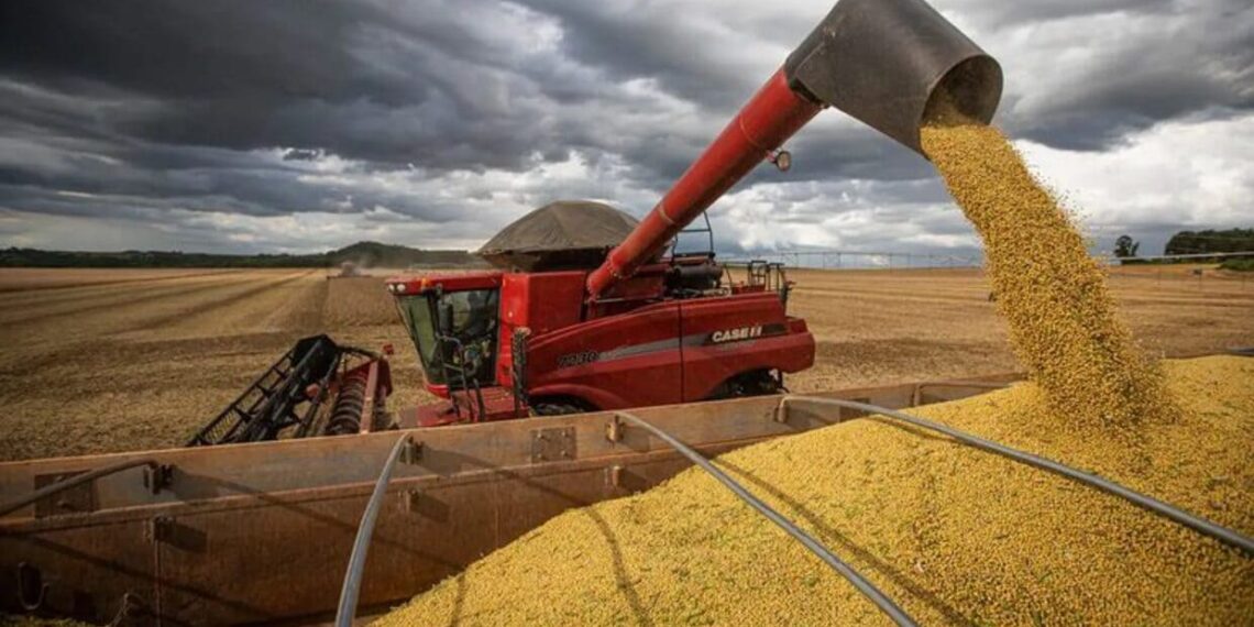 Imagem: Wenderson Araujo/Trilux