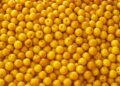Murici: a fruta brasileira que supera a banana em proteínas e é campeã em vitamina C