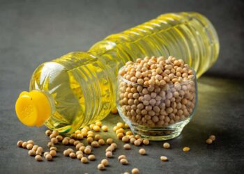 Mais biodiesel, mais óleo de soja: nova fase do mercado impulsiona produção nacional