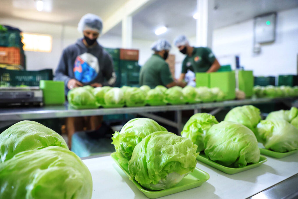 Paraná Mais Orgânico impulsiona recorde e garante liderança nacional em certificações