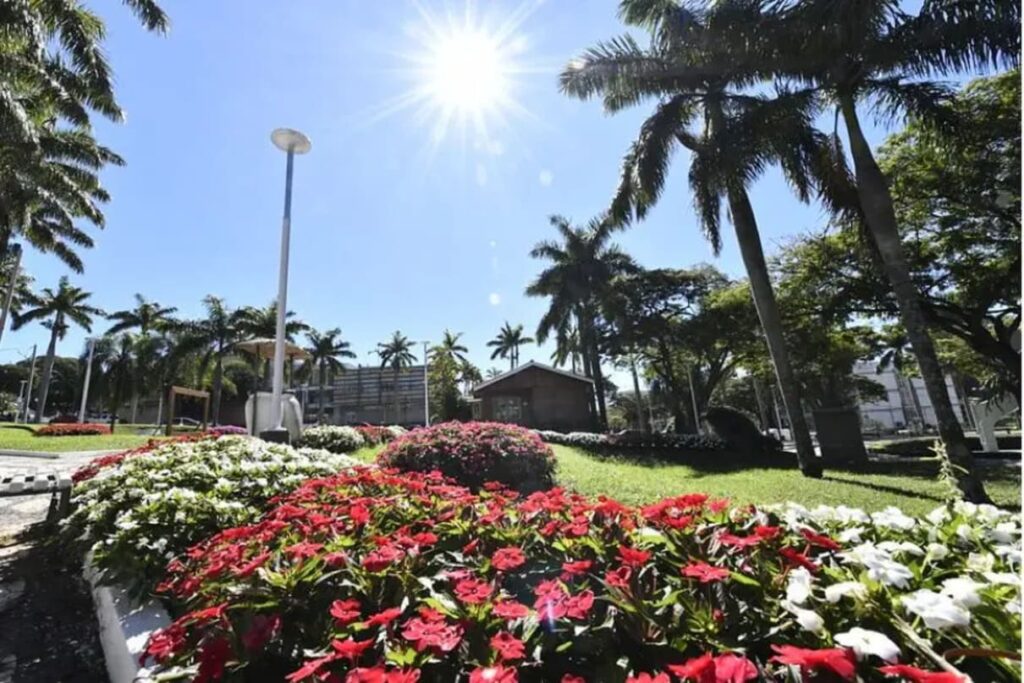 Umuarama transforma ruas e praças em cartões-postais com paisagismo exemplar