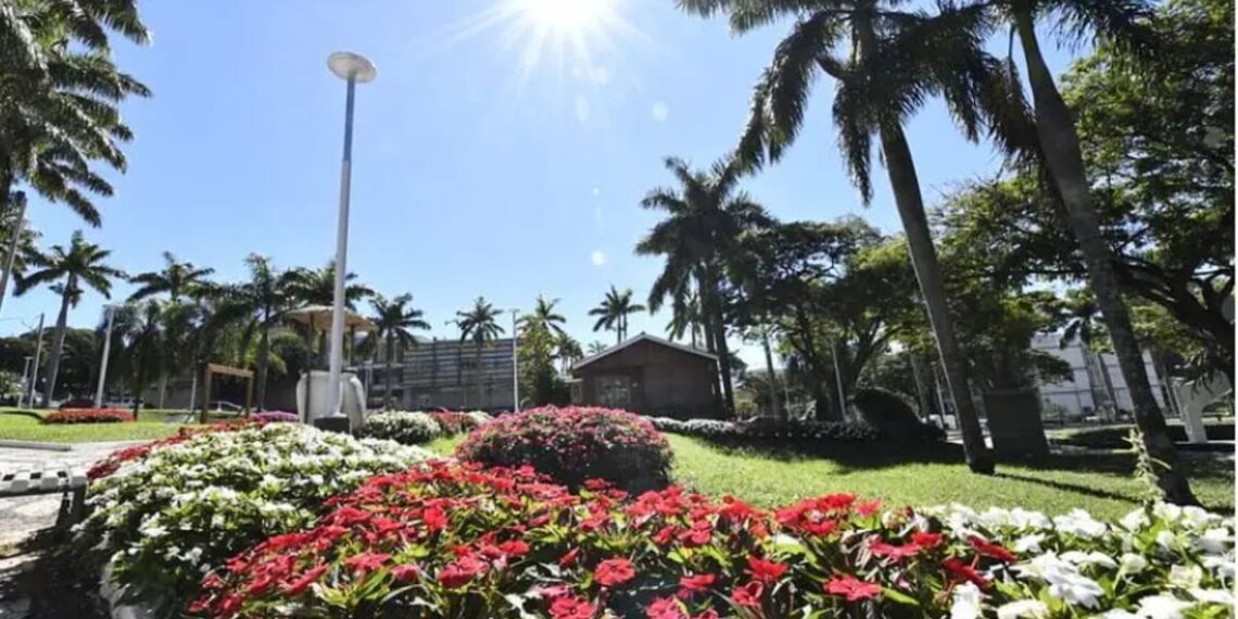 Umuarama transforma ruas e praças em cartões-postais com paisagismo exemplar
