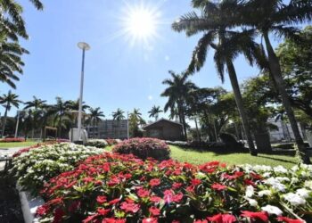Umuarama transforma ruas e praças em cartões-postais com paisagismo exemplar