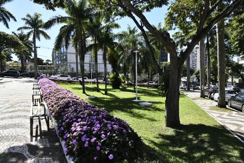 Umuarama transforma ruas e praças em cartões-postais com paisagismo exemplar
