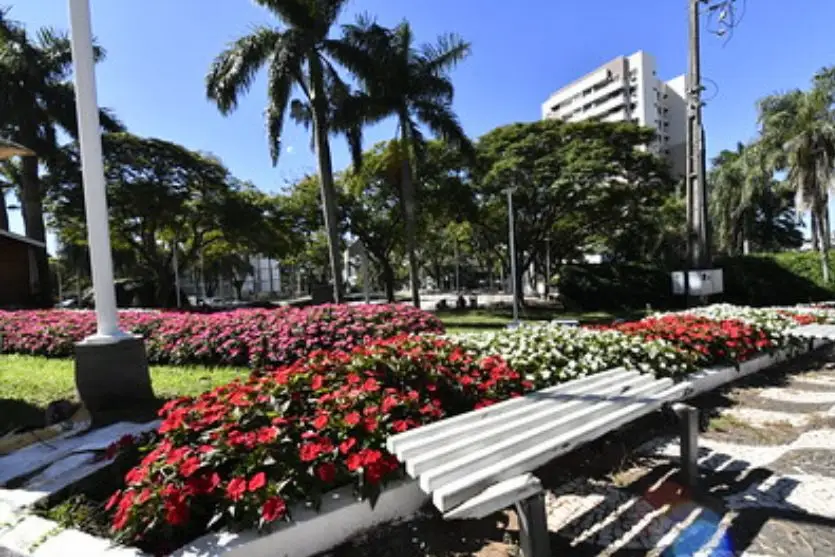 Umuarama transforma ruas e praças em cartões-postais com paisagismo exemplar