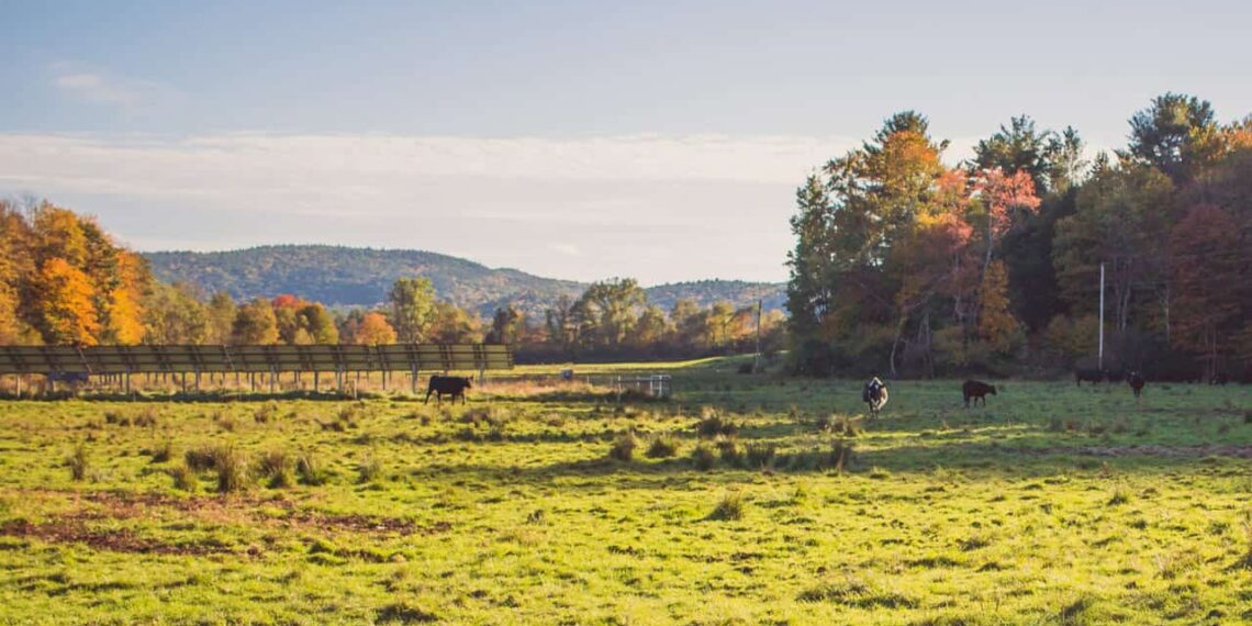 Sistema Antecipasto revoluciona a integração lavoura-pecuária no Cerrado