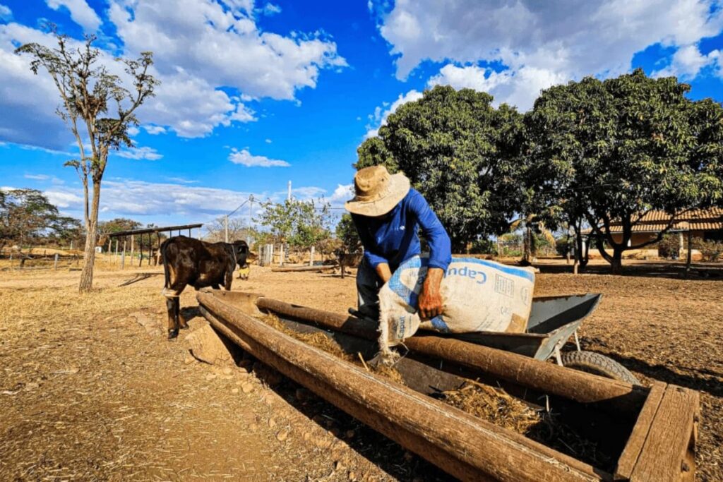 Irrigação no Semiárido Mineiro: Nova Lei Incentiva Produtores a Transformar a Paisagem Rural