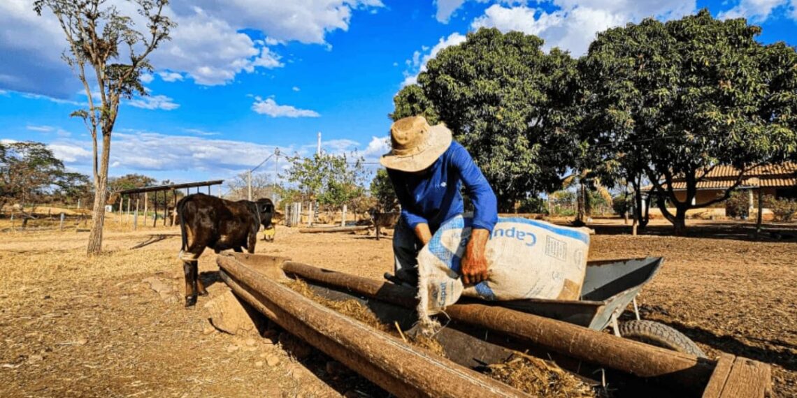 Foto: Secretaria de Agricultura MG/Divulgação  Fonte: https://agro.estadao.com.br/sustentabilidade/nova-lei-estimula-produtores-do-semiarido-mineiro-a-irrigar-pela-primeira-vez