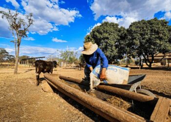 Foto: Secretaria de Agricultura MG/Divulgação  Fonte: https://agro.estadao.com.br/sustentabilidade/nova-lei-estimula-produtores-do-semiarido-mineiro-a-irrigar-pela-primeira-vez