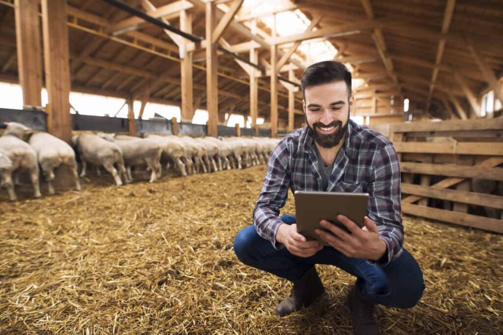 Pecuária sustentável no Brasil: caminhos para um futuro produtivo e ecológico