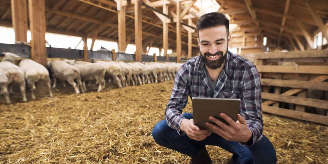 Pecuária sustentável no Brasil: caminhos para um futuro produtivo e ecológico