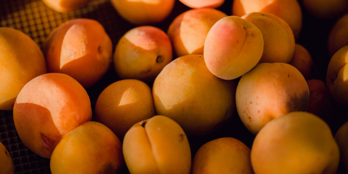 Rio Grande do Sul colhe bons resultados com frutas neste inverno