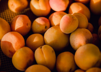 Rio Grande do Sul colhe bons resultados com frutas neste inverno
