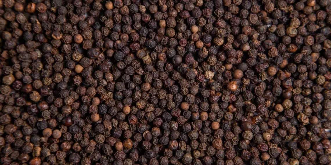 Mercado da pimenta-do-reino amarga queda com tarifas dos EUA
