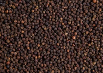 Mercado da pimenta-do-reino amarga queda com tarifas dos EUA