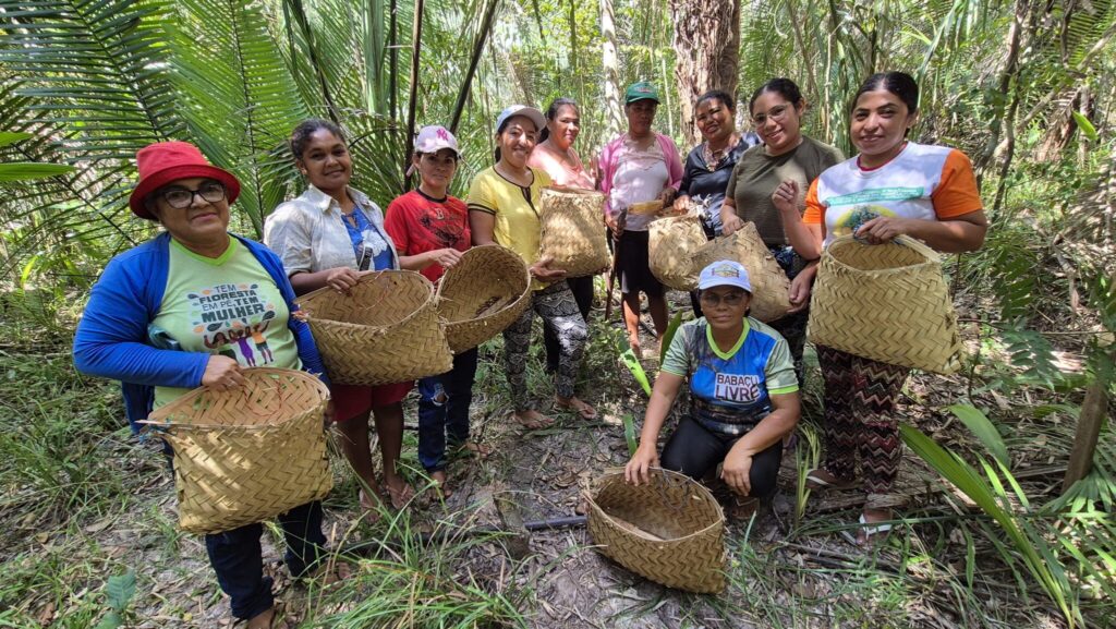 Empreendedoras do Babaçu: Mulheres do Piauí Inauguram Fábrica de Sabonetes Artesanais
