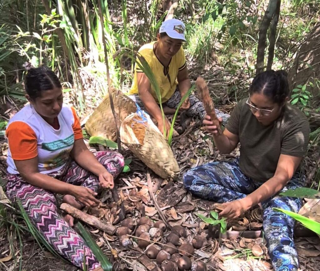 Empreendedoras do Babaçu: Mulheres do Piauí Inauguram Fábrica de Sabonetes Artesanais