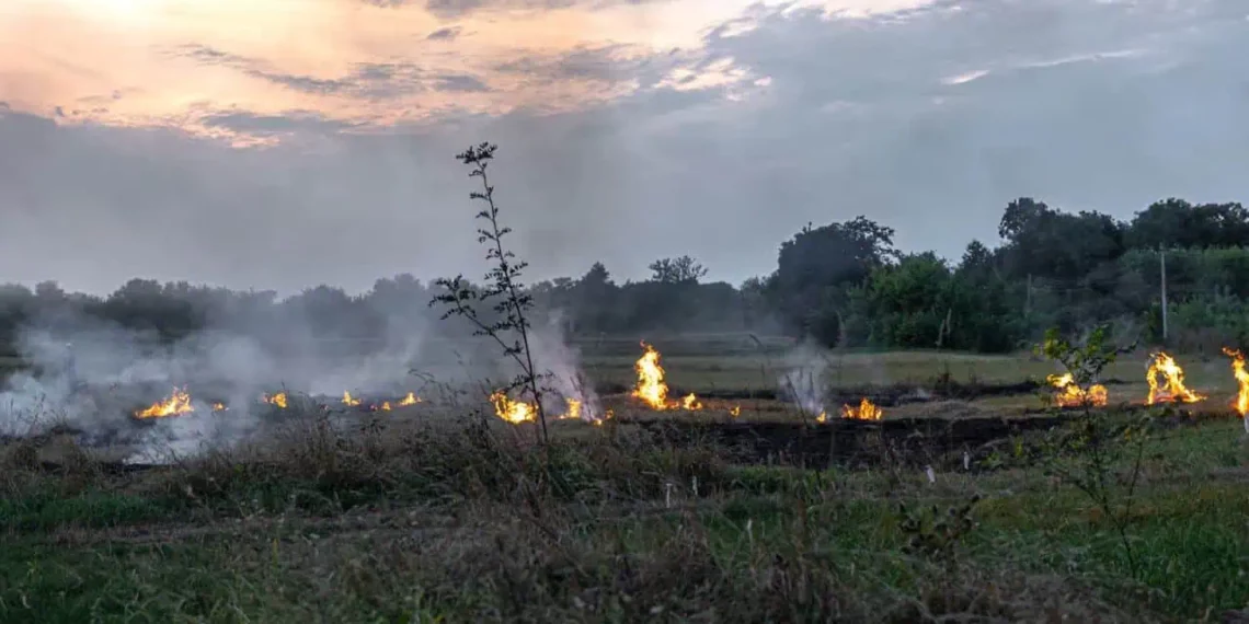 Ação coordenada na Amazônia despenca focos de incêndio em Rondônia