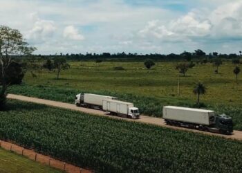 Foto: Vinicius Trindade/MT