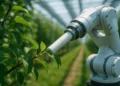 Tecnologia agrícola avança com sensor que detecta plantas por vibração