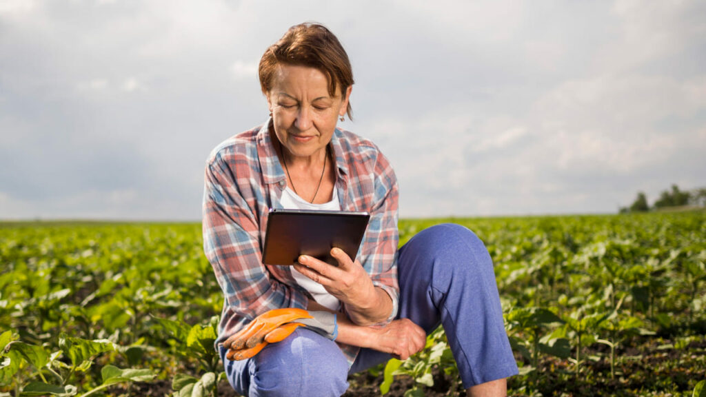 Conheça a ABC+Calc, calculadora de emissões da produção animal