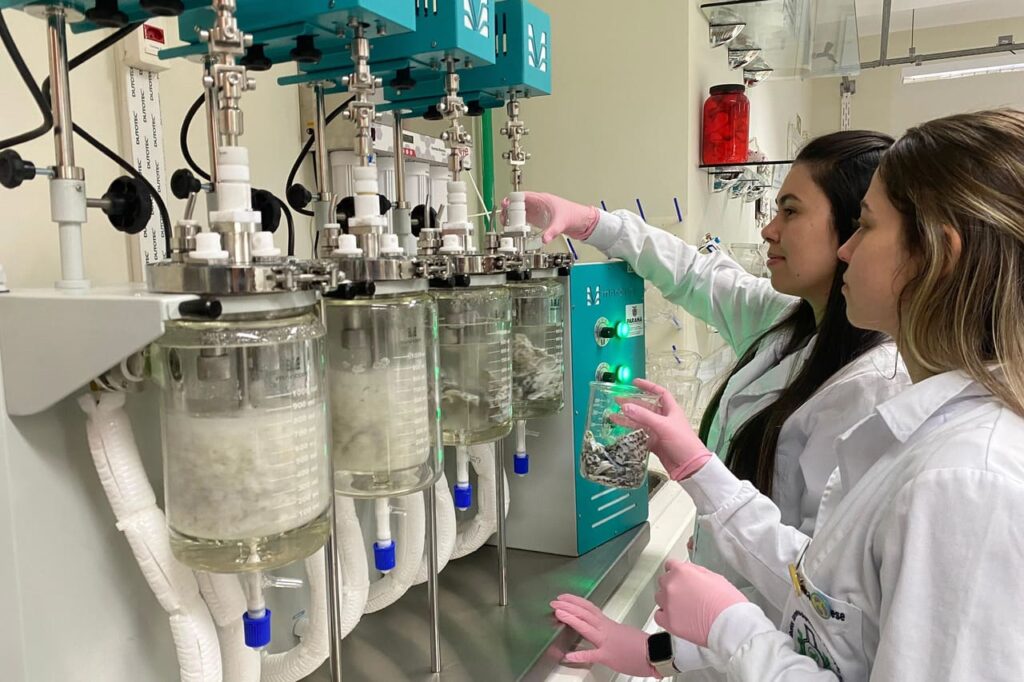 Unioeste transforma resíduos de tilápia em colágeno e impulsiona a bioeconomia