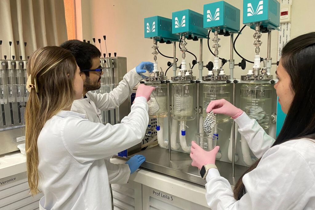 Unioeste transforma resíduos de tilápia em colágeno e impulsiona a bioeconomia