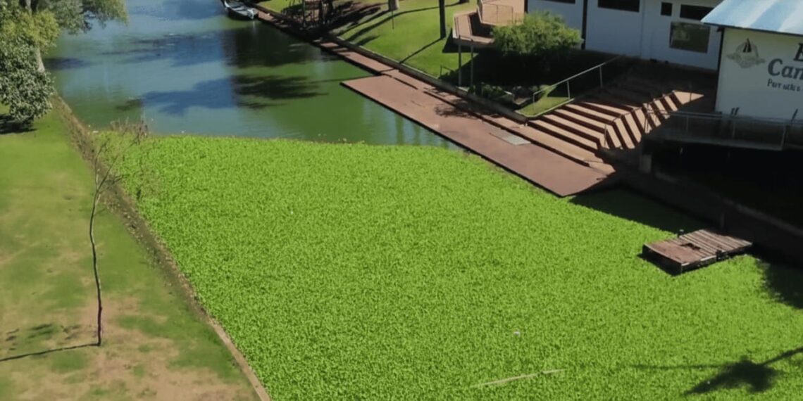 Imagem: Reprodução/RPC