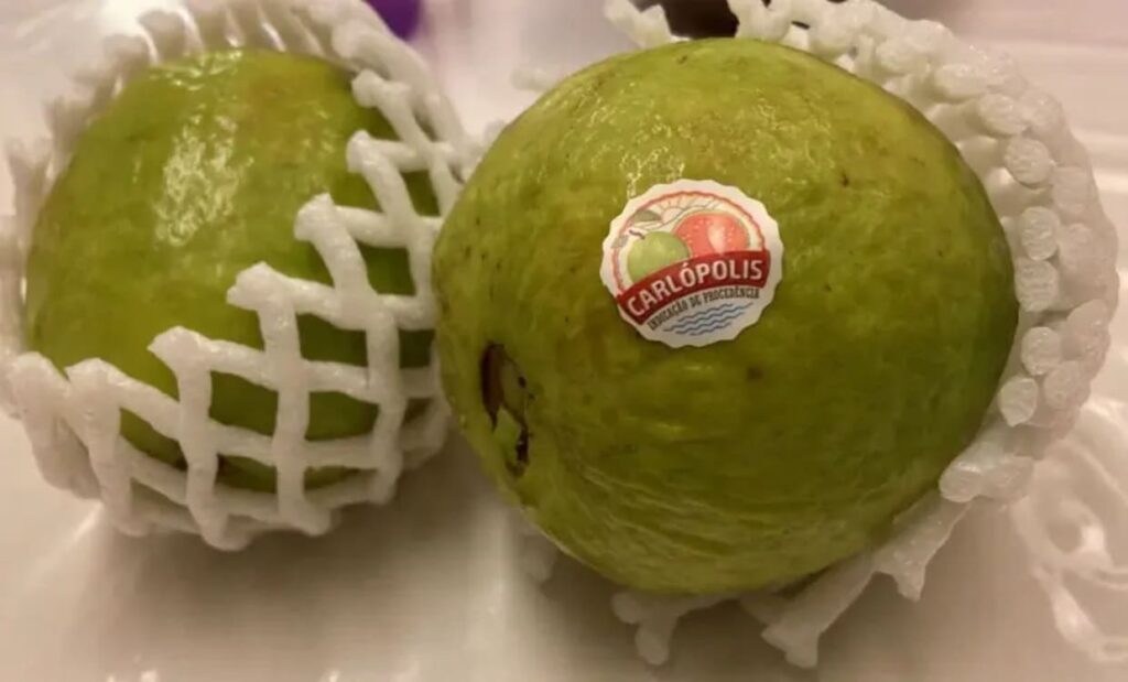 Brasil marca presença na Fruit Attraction Madrid com apoio do Sebrae