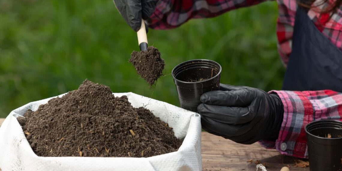 Como fazer adubo NPK caseiro fácil, barato e cheio de benefícios para suas plantas
