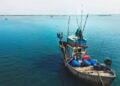 Exportação de pescado exige certificação higiênico-sanitária das embarcações