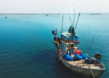 Exportação de pescado exige certificação higiênico-sanitária das embarcações