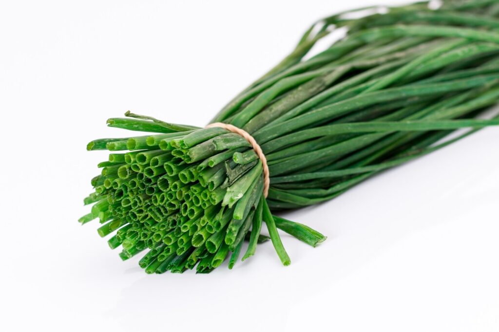 Você também achava que cebolinha era a parte verde da cebola? Saiba por que elas são plantas diferentes