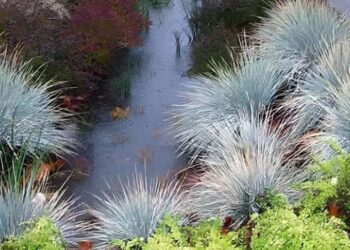Jardins de chuva chegam a Curitiba como solução verde para os alagamentos