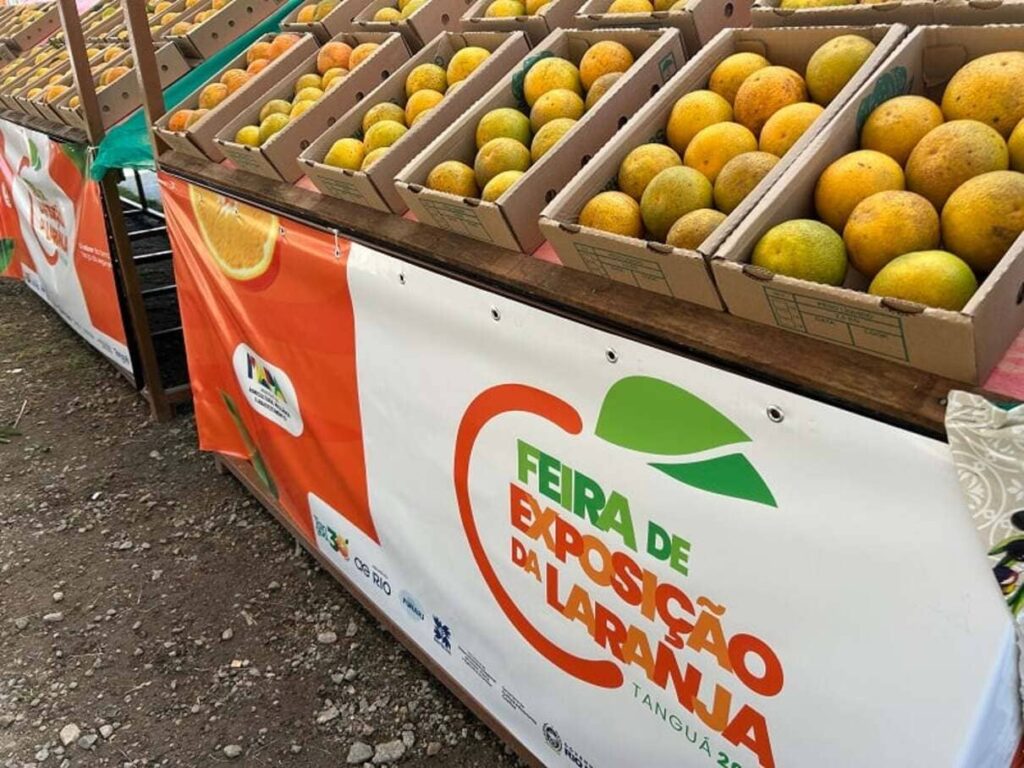 Laranja de Tanguá com selo de Indicação Geográfica vira referência em qualidade no Estado do Rio