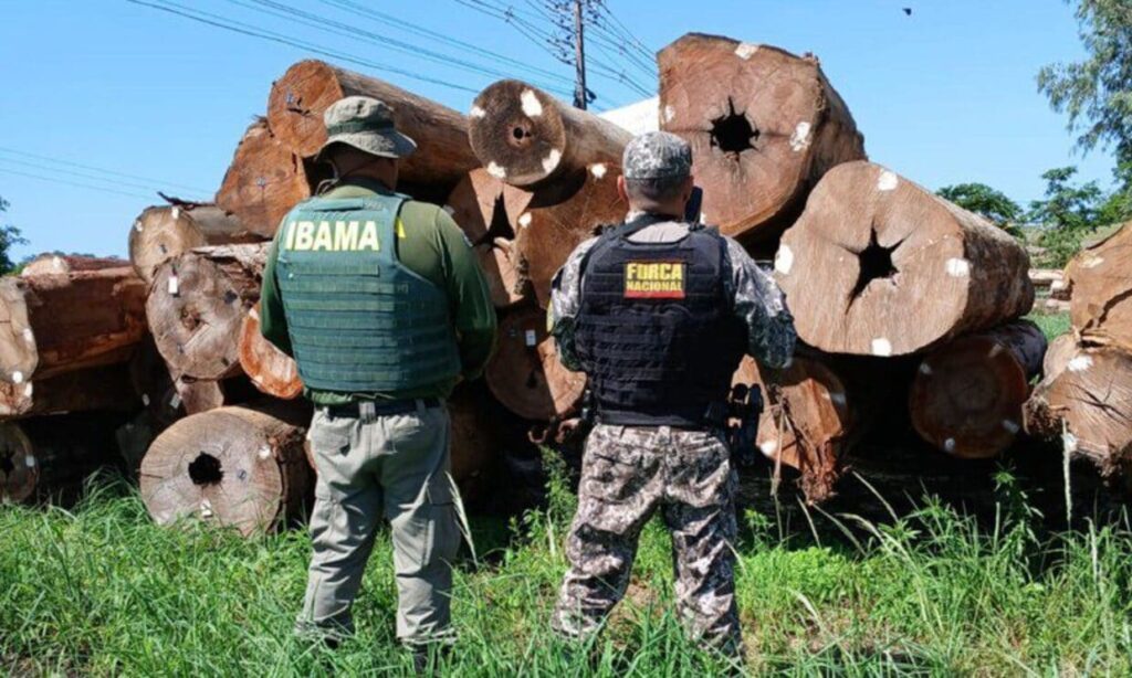 Governo apreende madeira ilegal em terra indígena e transforma crime em benefício social