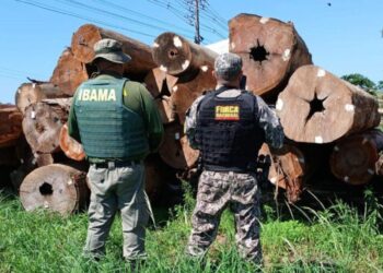 Agência Gov | Via Casa Civil
