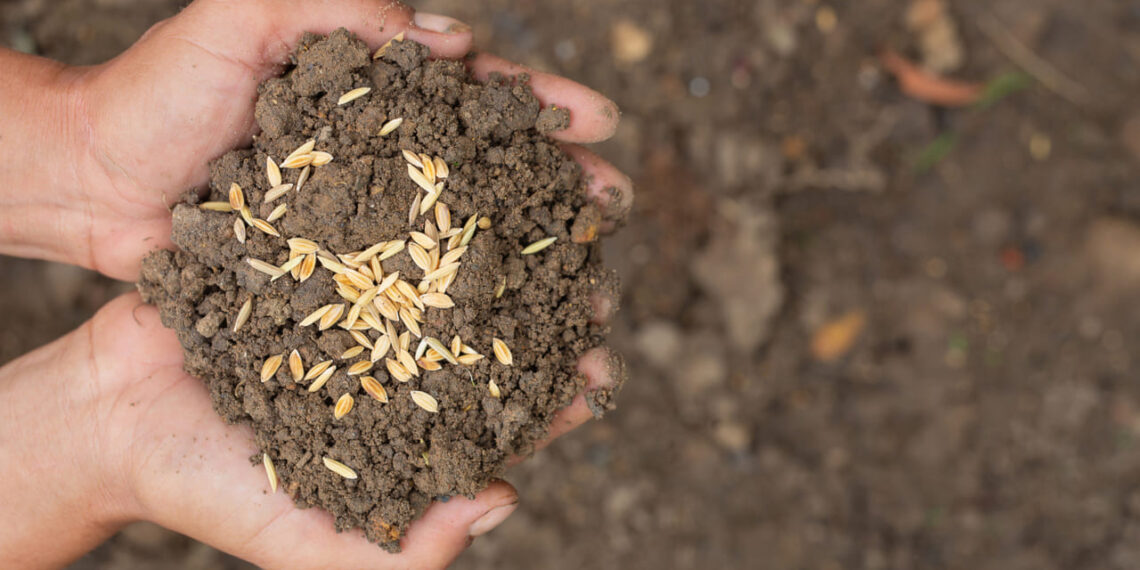 Como a matéria orgânica influencia a fertilidade do solo agrícola