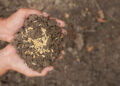 Como a matéria orgânica influencia a fertilidade do solo agrícola