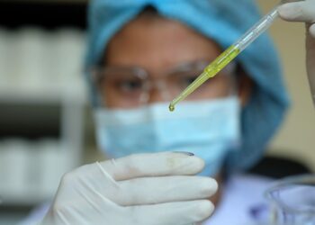 Etanol de milho impulsiona nova aliança entre gigantes do agro em Mato Grosso