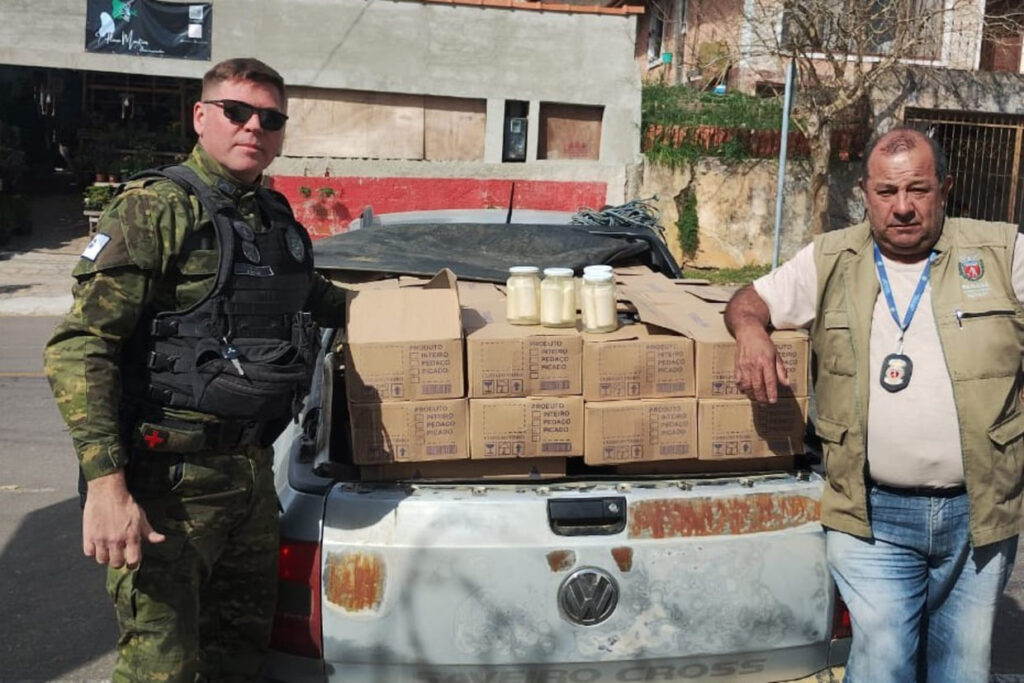 Palmito-juçara ilegal: apreensão de 288 kg expõe ameaça à Mata Atlântica