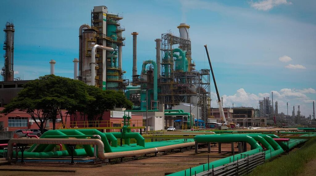 Petrobras testa SAF com óleo vegetal e marca avanço na aviação verde