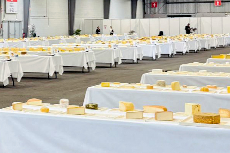 Queijos do Paraná conquistam a elite mundial em concurso na França