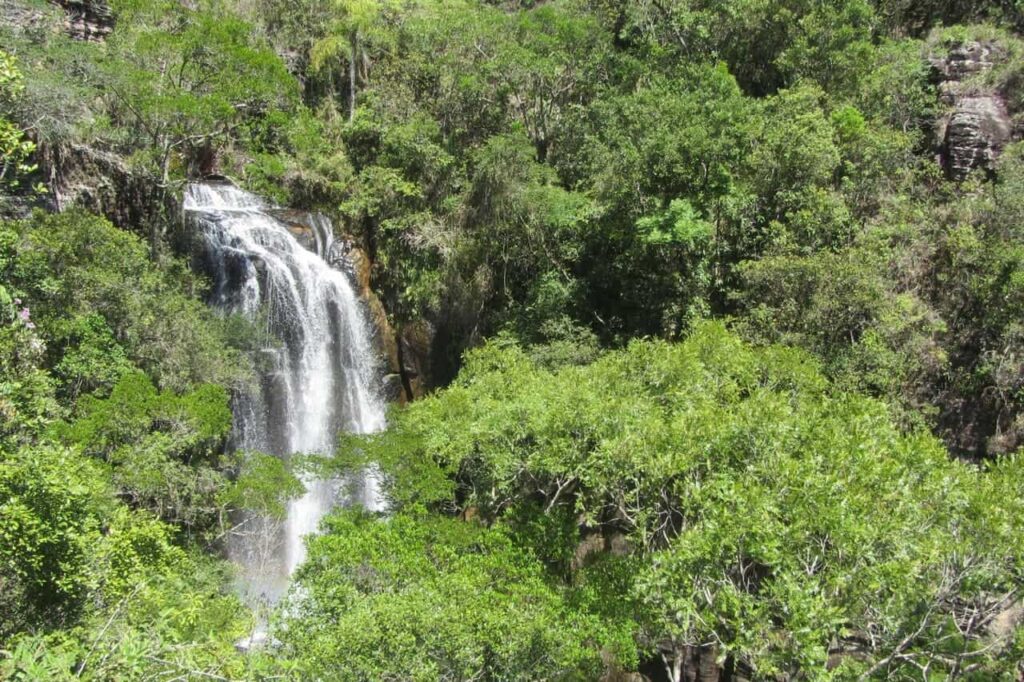 Créditos de biodiversidade no Paraná entram na reta final