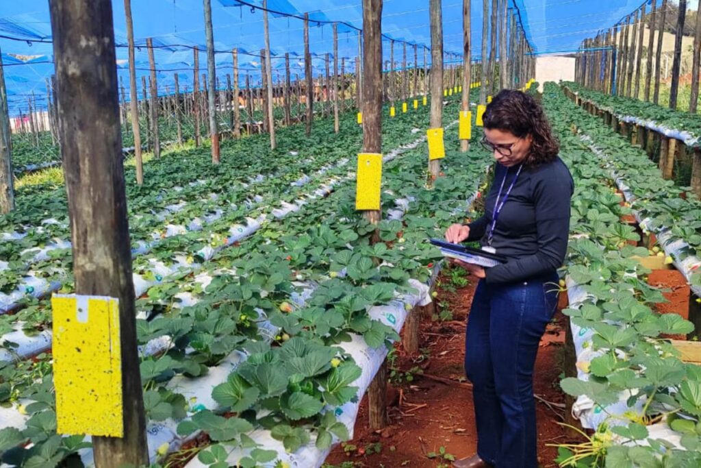 Concurso da Adapar abre 57 vagas com salários de até R$ 8,4 mil