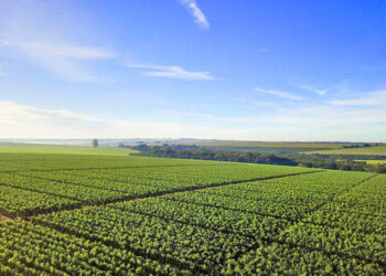 Imagem: Divulgação