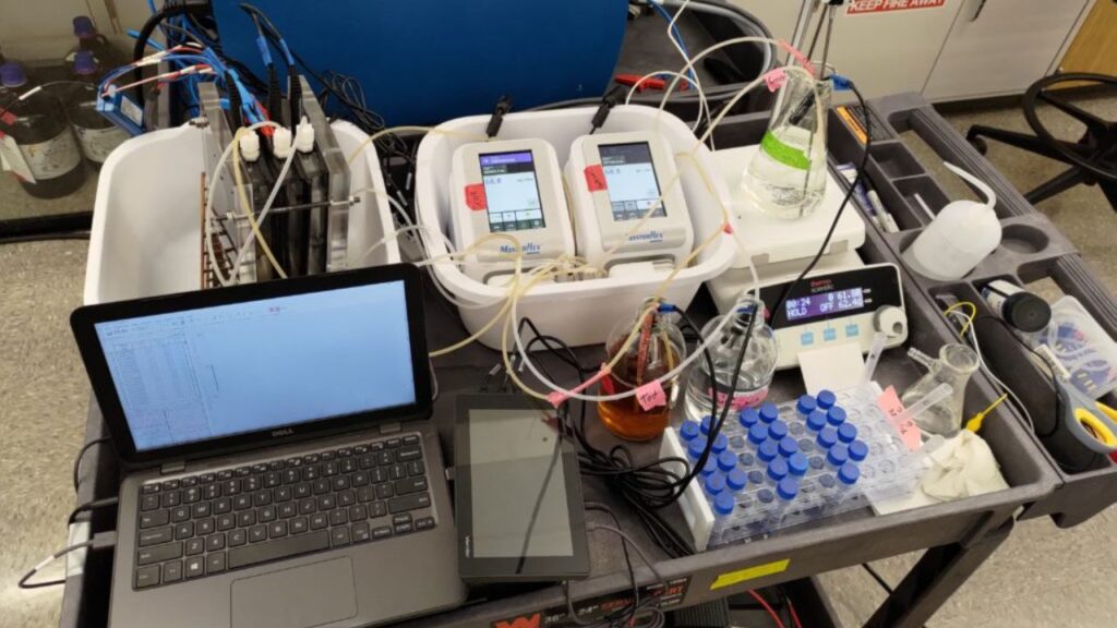 Novo ciclo verde: reator experimental transforma urina em fertilizante usando luz solar